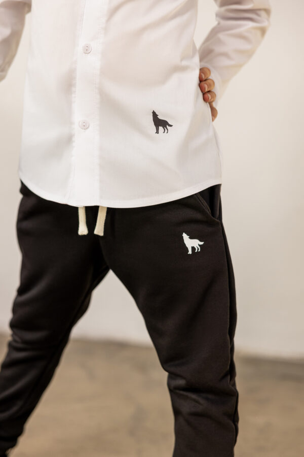 mashmnie oku2166 V zmniej