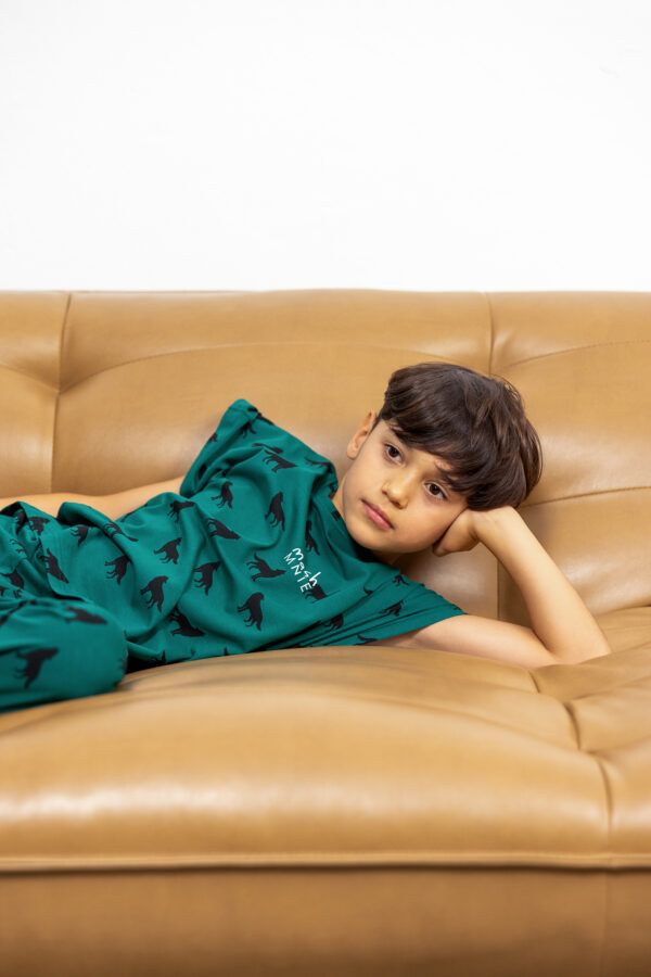 mashmnie oku2696 V zmniej mashmnie oku2696 V zmniej