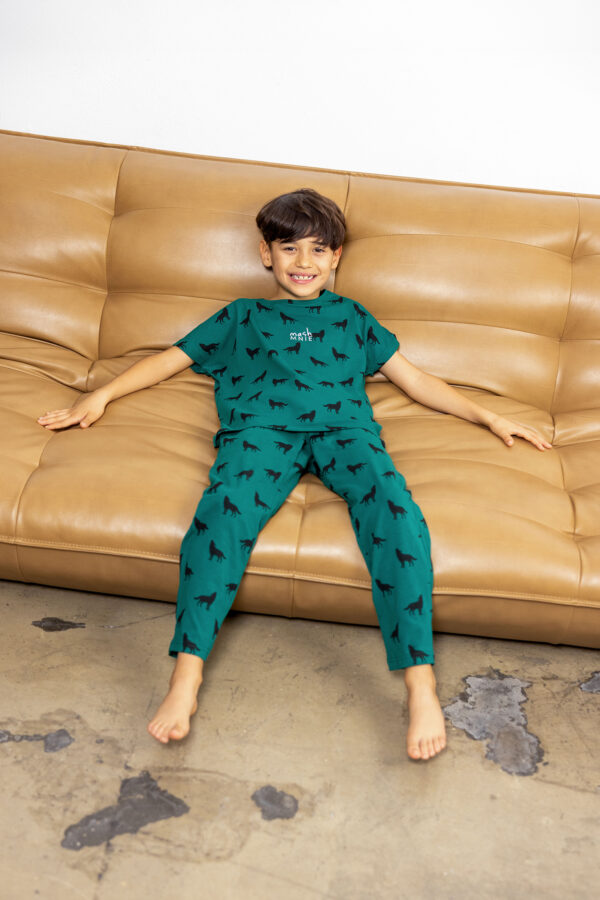 mashmnie oku2702 V zmniej mashmnie oku2702 V zmniej