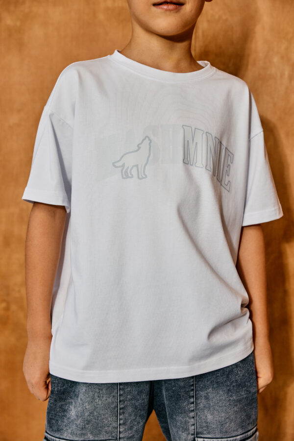 mashmnie vanda16250 V