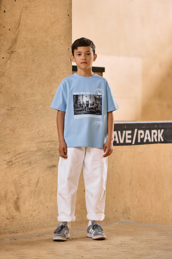 mashmnie ave park20265 V zmniej